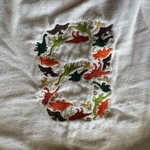 ‘B’ dinosaur tshirt
